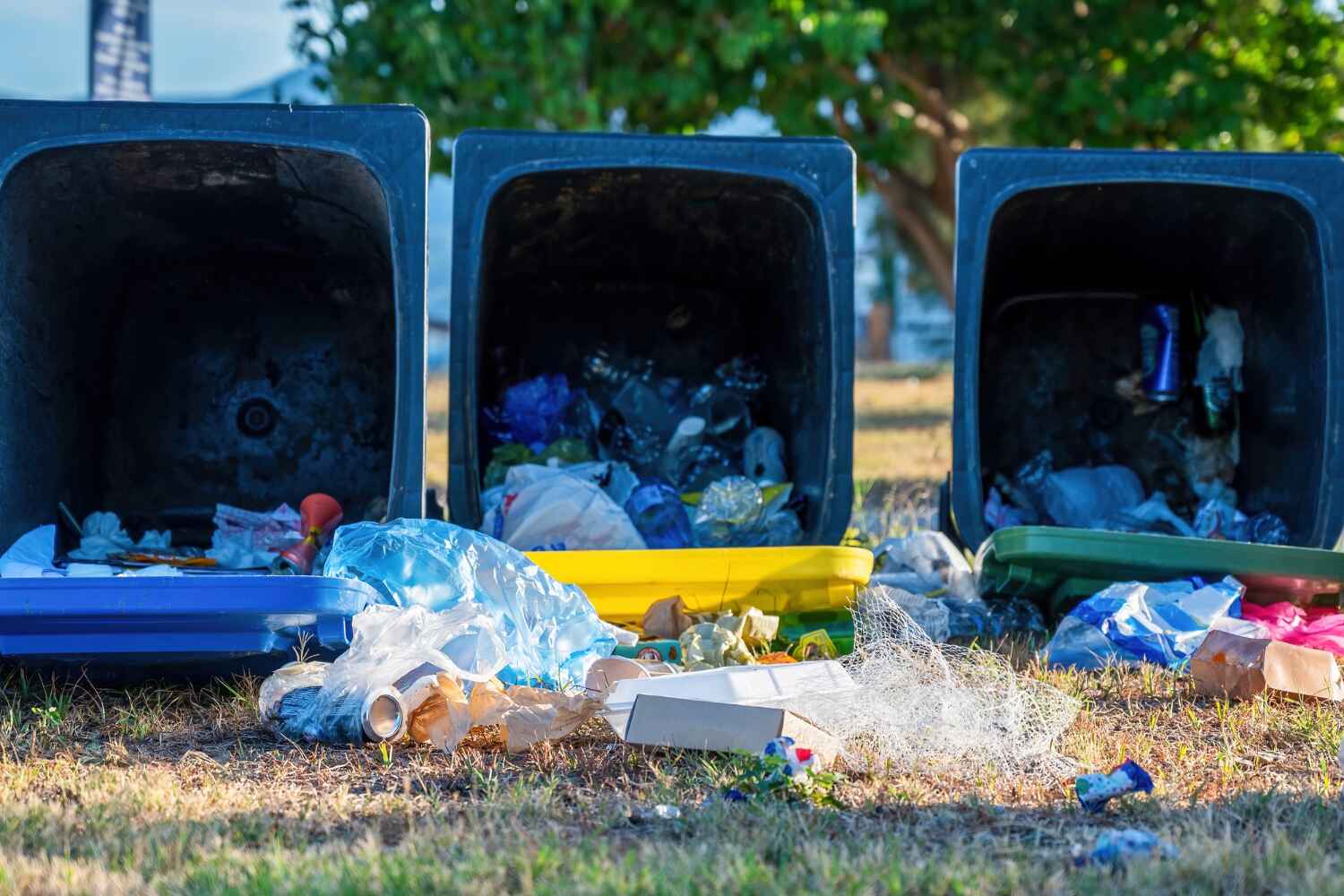 Best Commercial Junk Removal  in Sault Ste Marie, MI